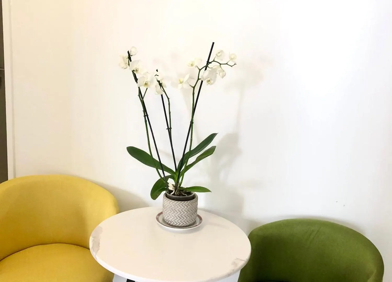Chambre Tour Boucry Apartment Paris 0*,
